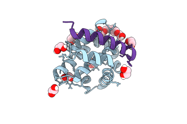 5VMO image