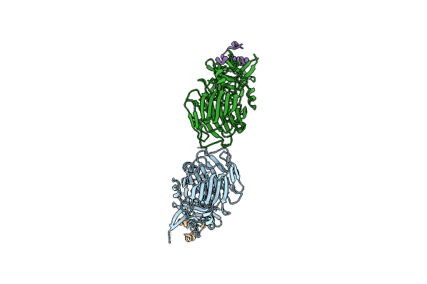 5VMR image