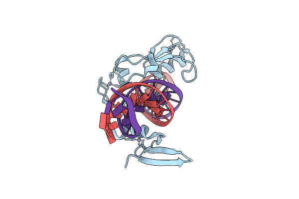 5VMW image