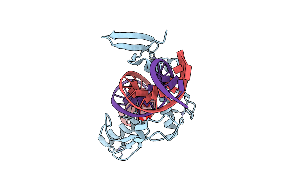 5VMZ image