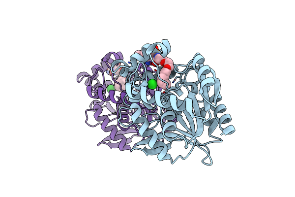 5VNP image
