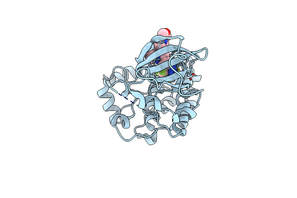 5VO2 image