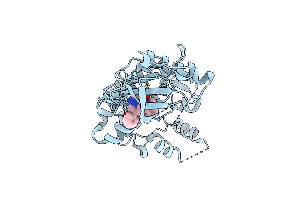5VO6 image