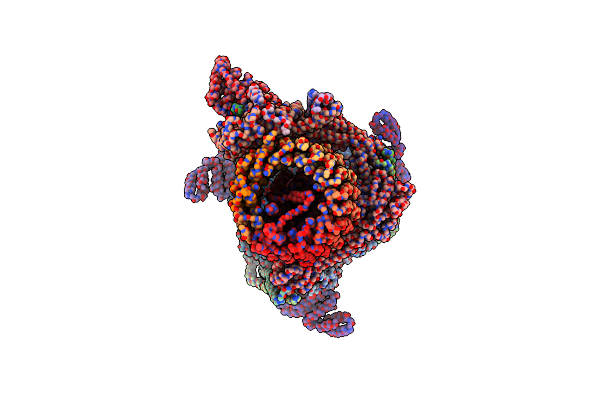 5VOX image