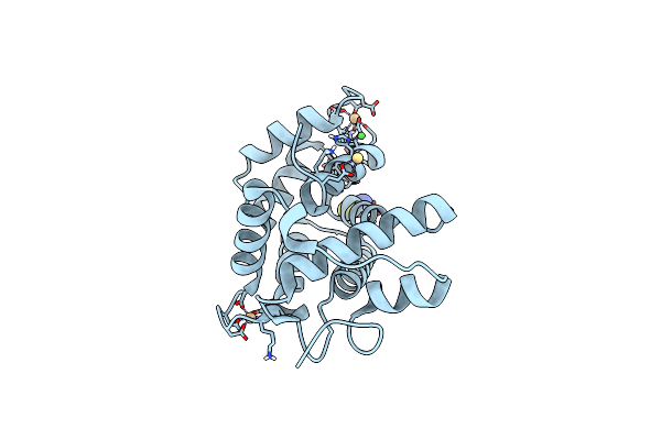 5VP3 image