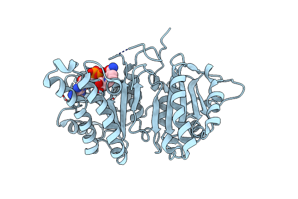 5VP5 image