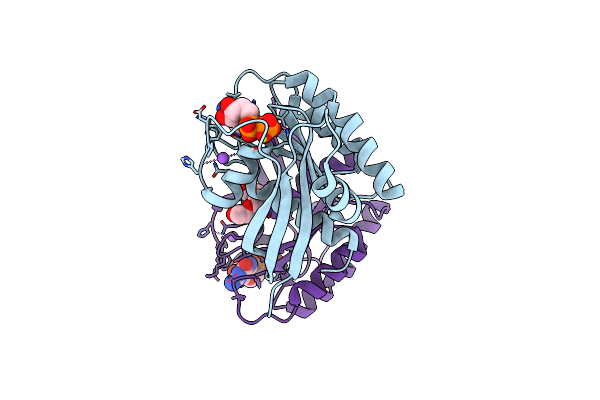 5VP7 image