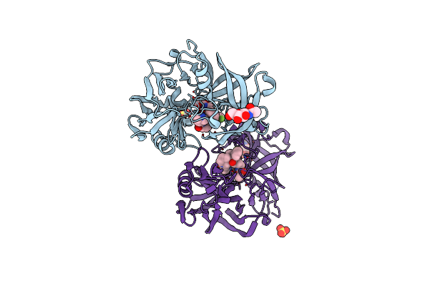 5VPM image