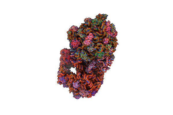 5VPO image