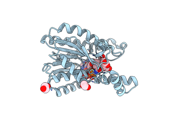 5VPS image