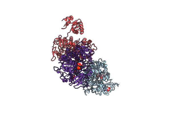 5VPV image