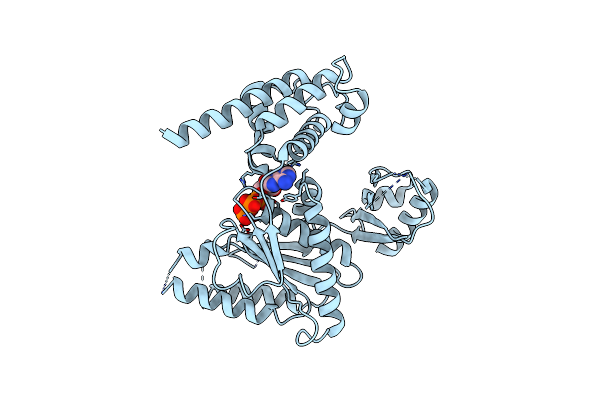 5VQA image