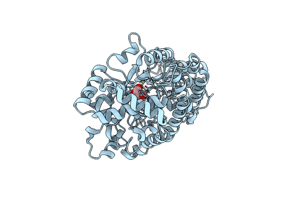 5VQE image