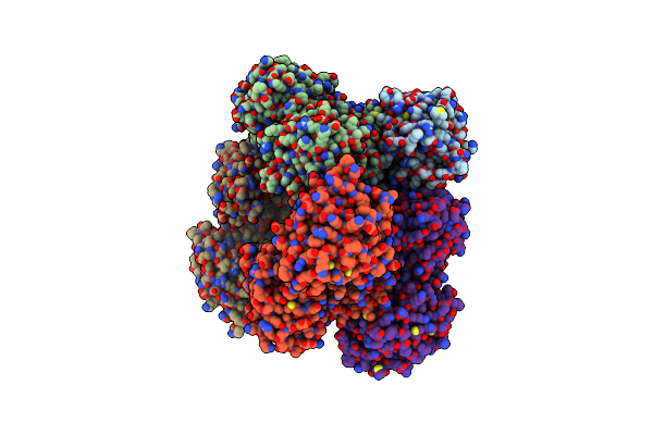 5VR8 image