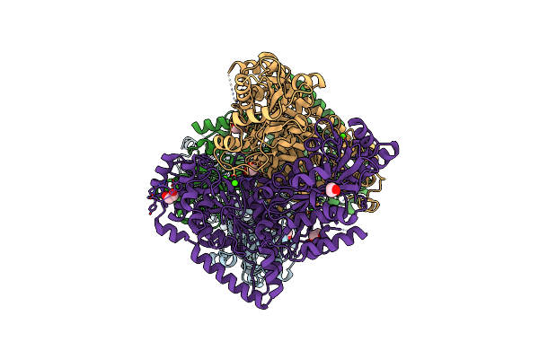 5VRB image