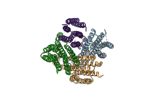 5VRE image
