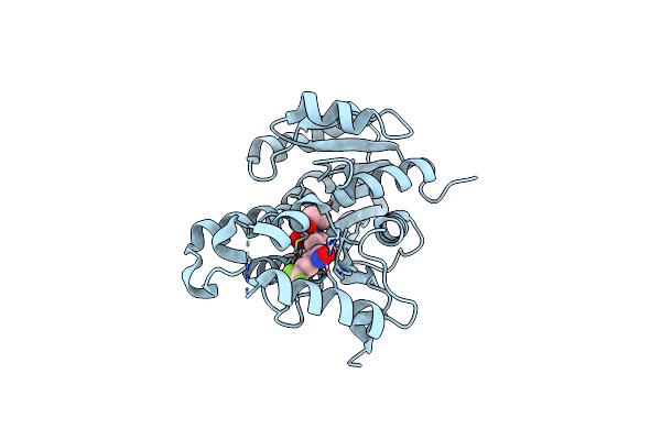 5VRL image