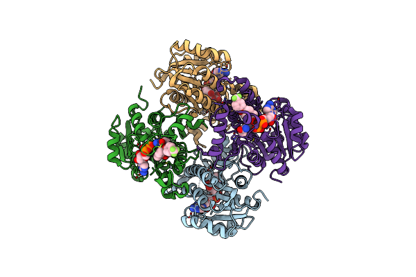 5VRM image