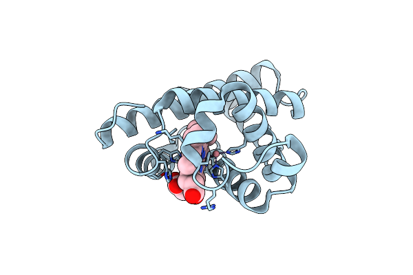 5VRT image