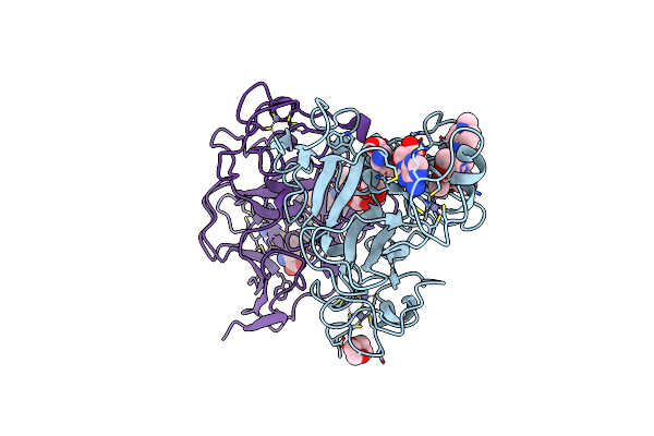 5VSF image
