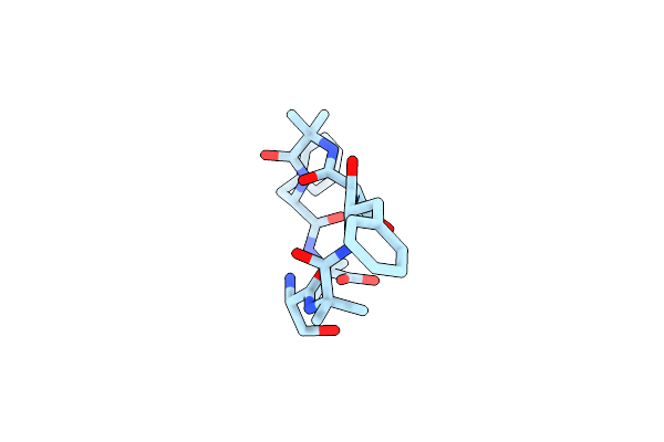 5VSG image
