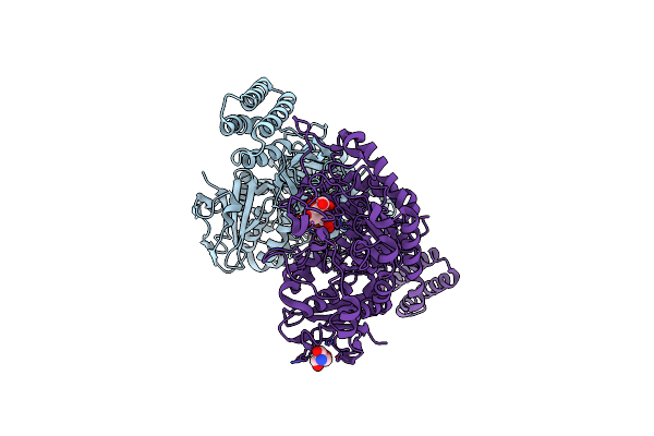5VSJ image