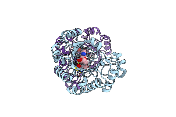 5VSL image
