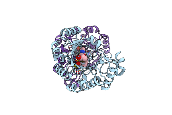 5VSM image