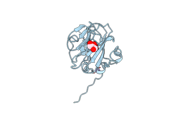 5VSN image
