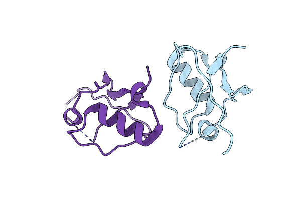5VSX image