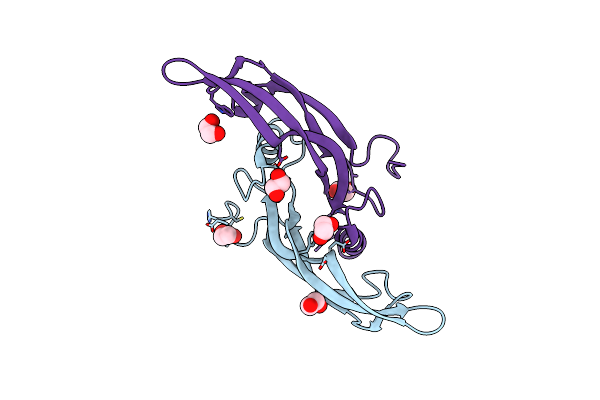 5VT2 image