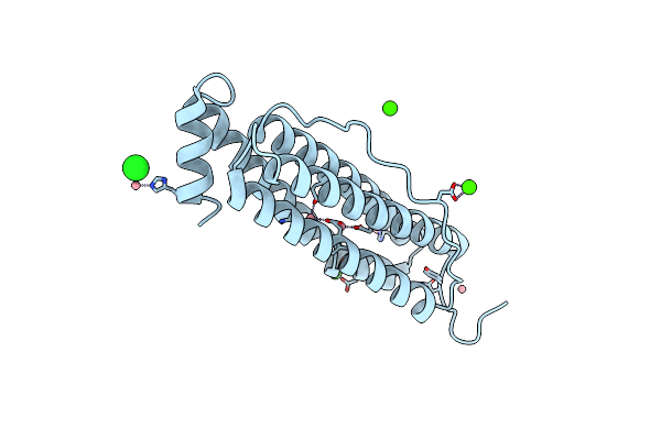 5VTD image