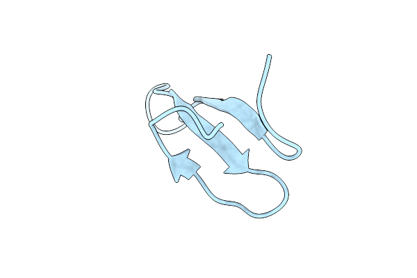 5VTK image