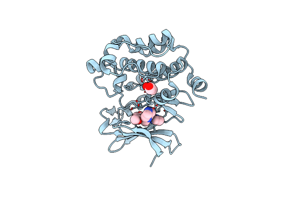 5VUB image