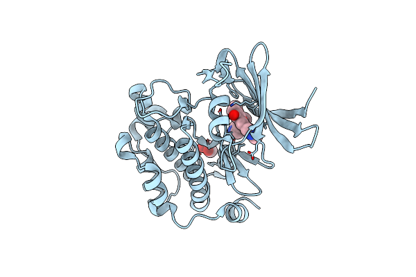 5VUC image
