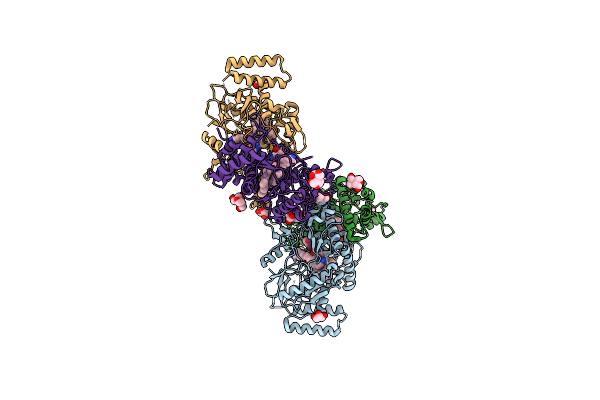 5VVB image
