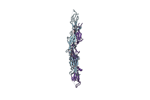 5VVM image