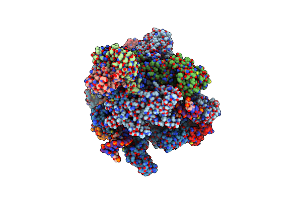 5VVS image