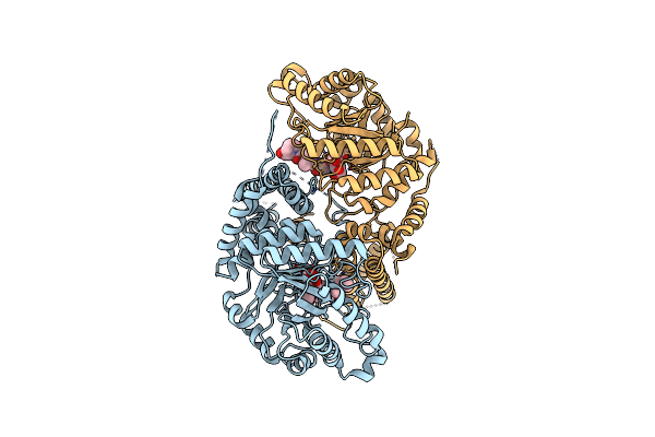 5VVT image