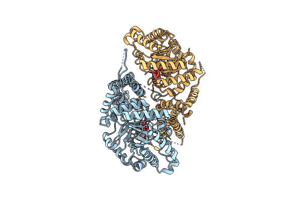 5VVX image
