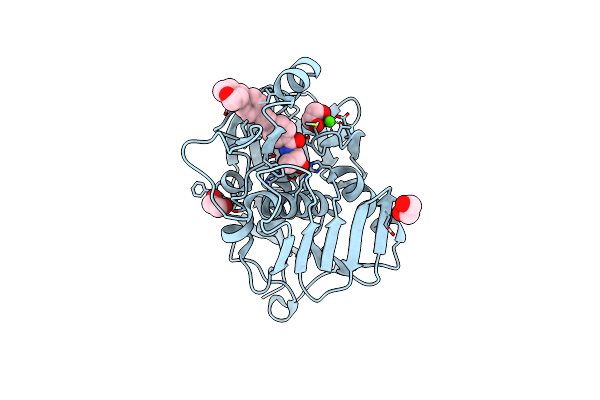 5VWM image