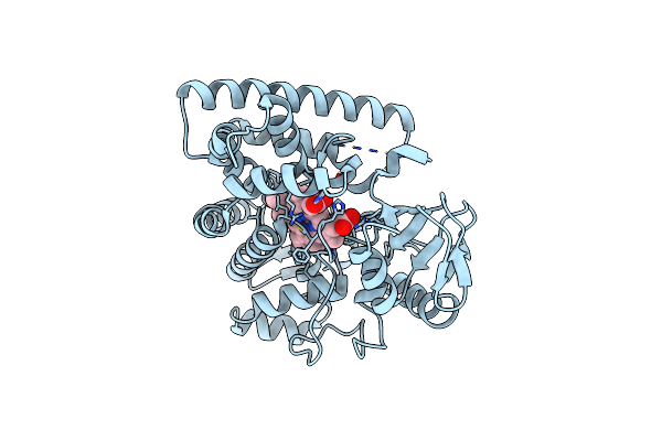 5VWS image