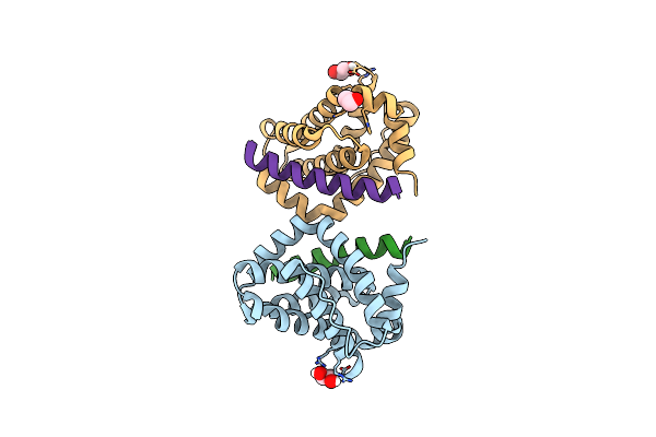 5VX2 image