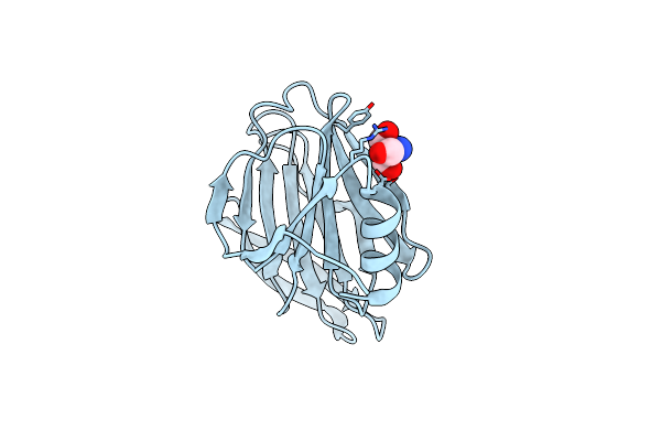 5VX4 image