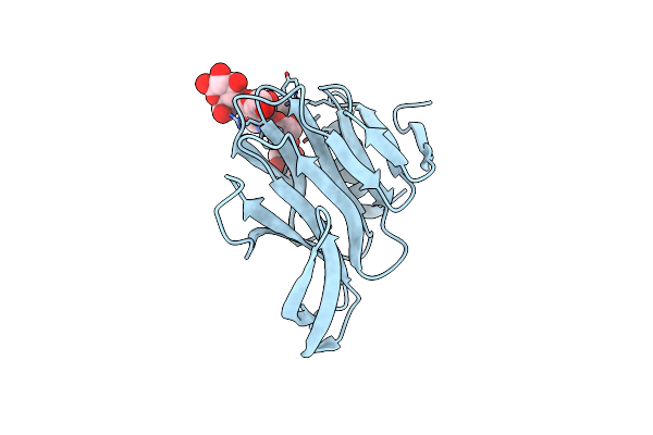 5VX5 image