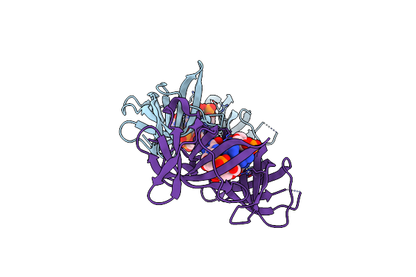 5VX6 image