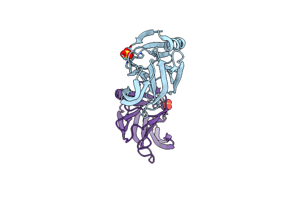 5VX8 image