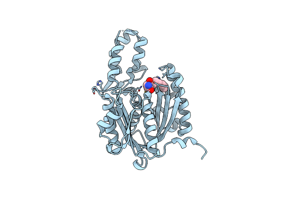5VXG image