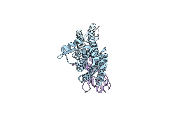 5VXL image