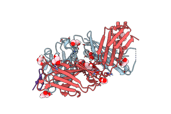 5VXR image